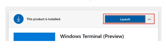 Windows Terminal-select launch