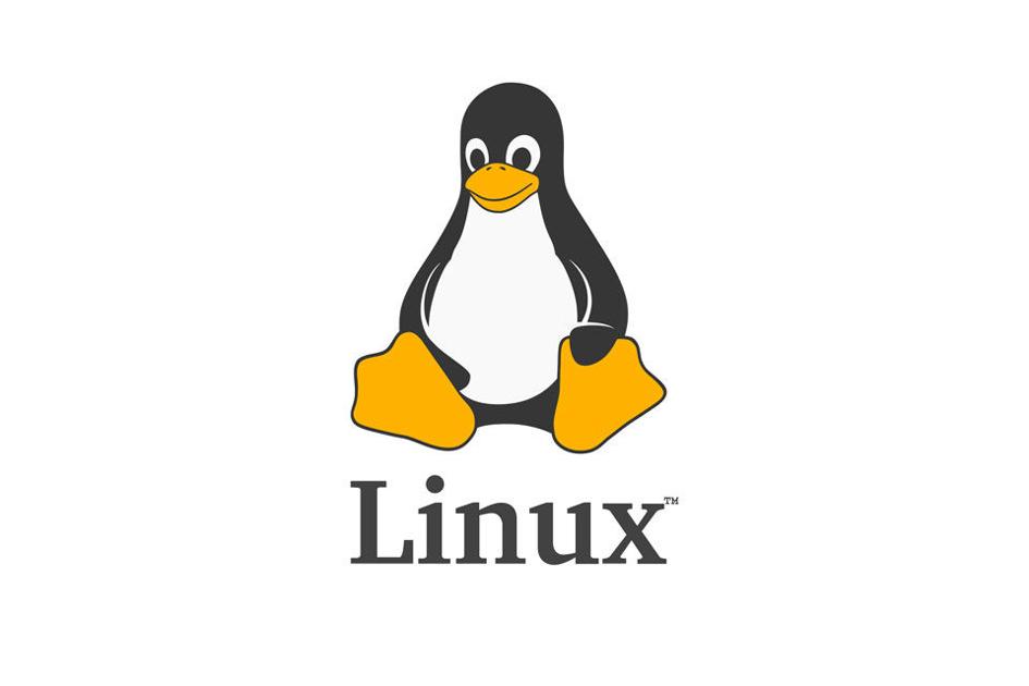Linux VPS Malaysia OS